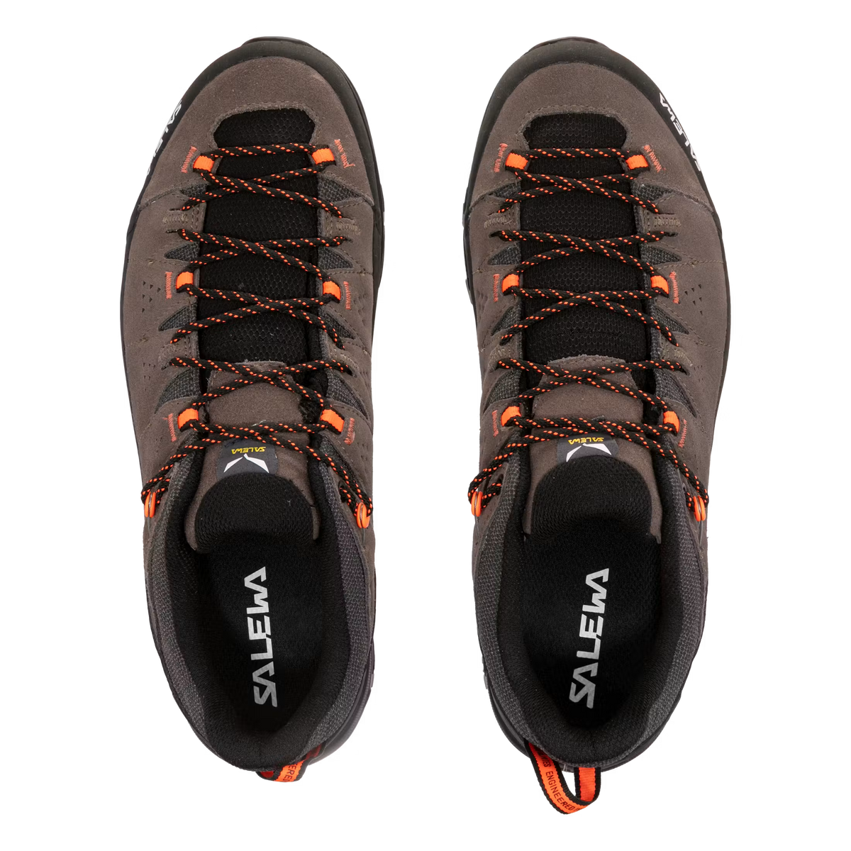 Salewa Alp Trainer 2