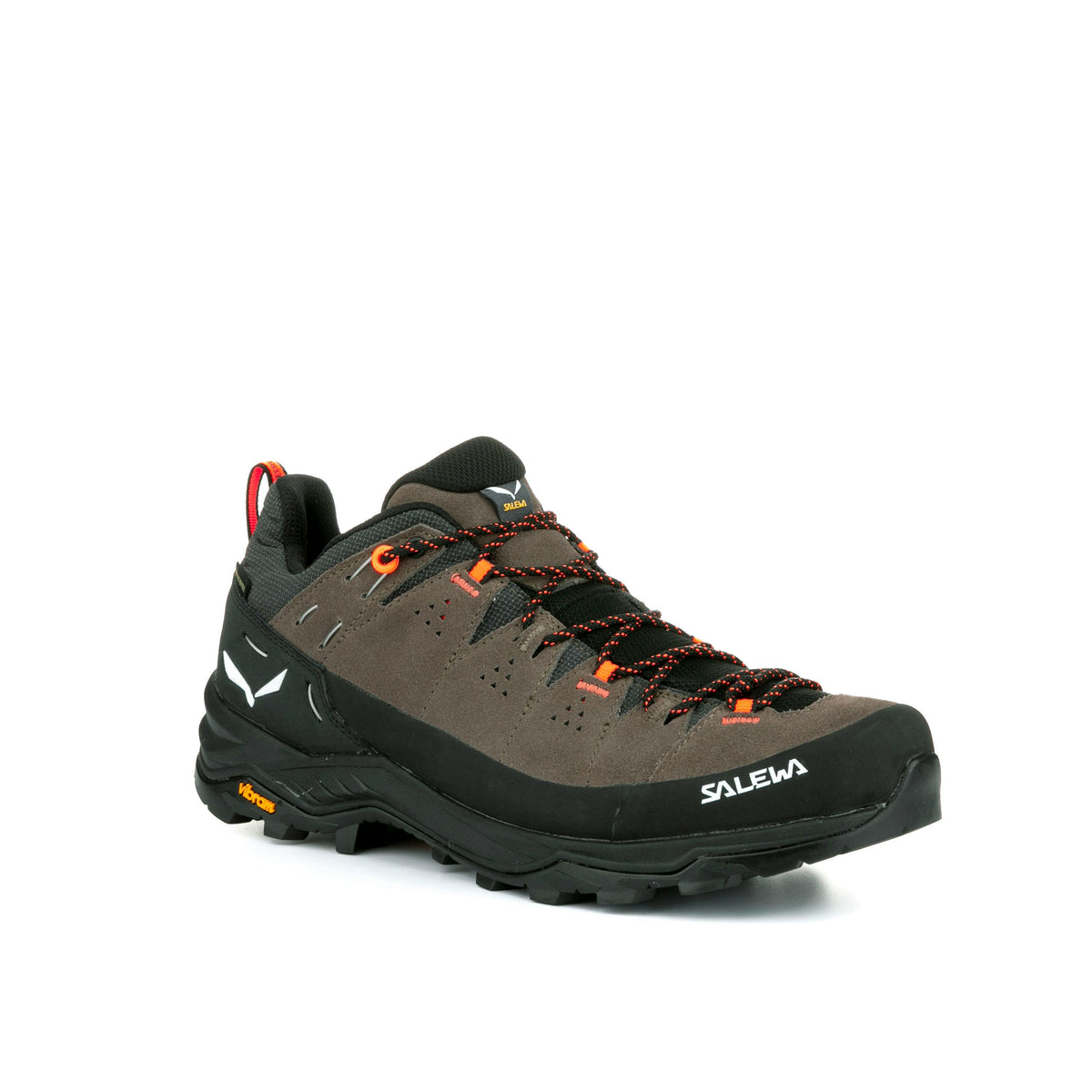 Salewa Alp Trainer 2 GTX