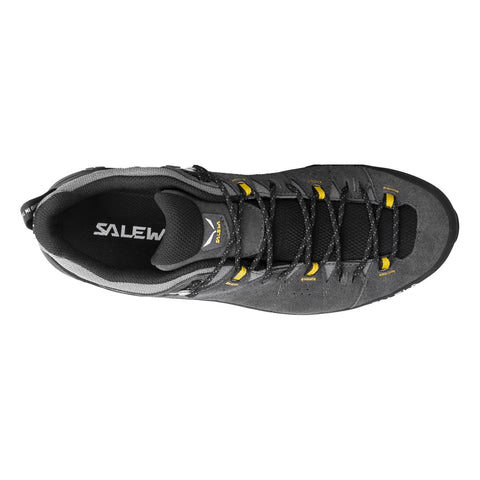 Alp Trainer 2 GTX M Onyx | Black