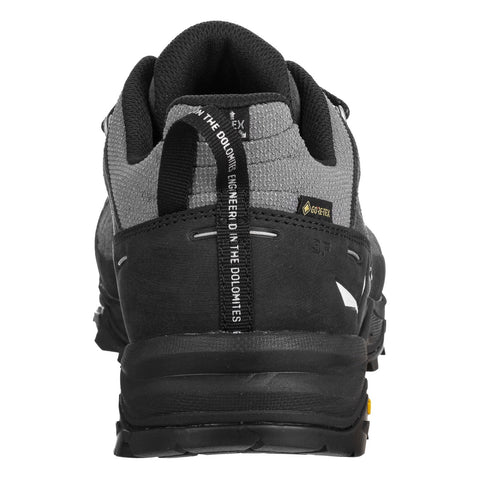 Alp Trainer 2 GTX M Onyx | Black